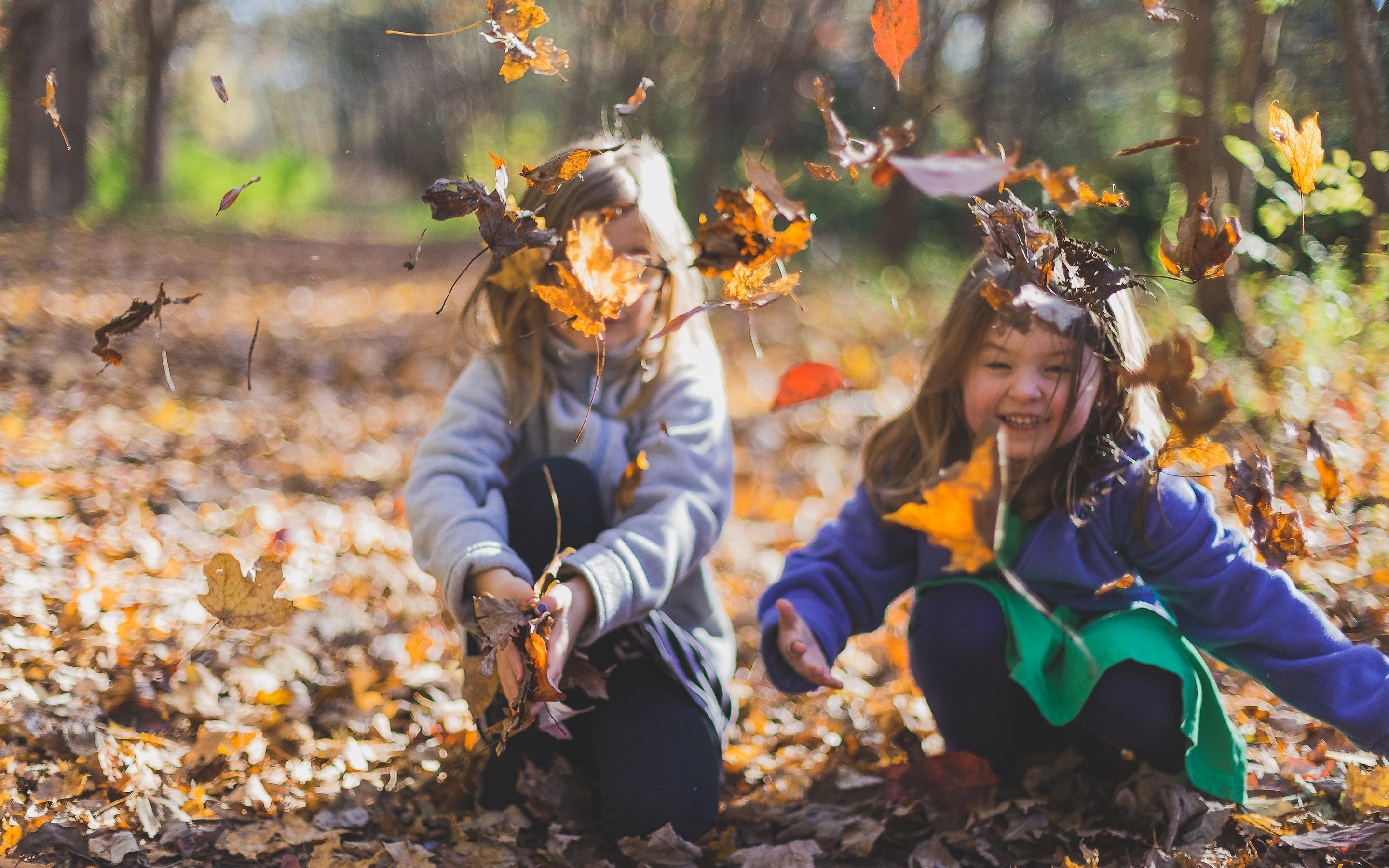 Kinder beim spielen im Blätterwald