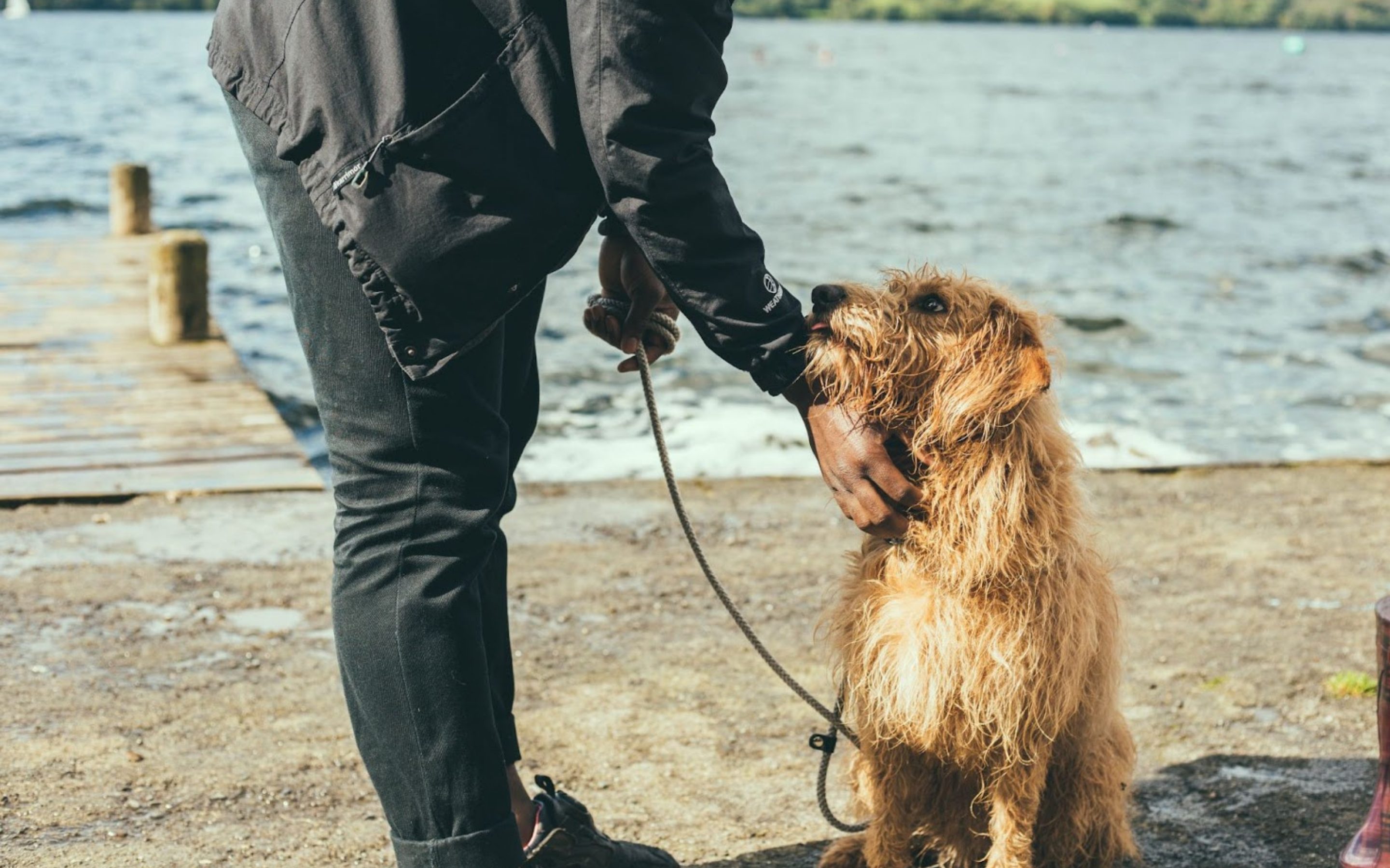 Spaziergang mit Hund am See