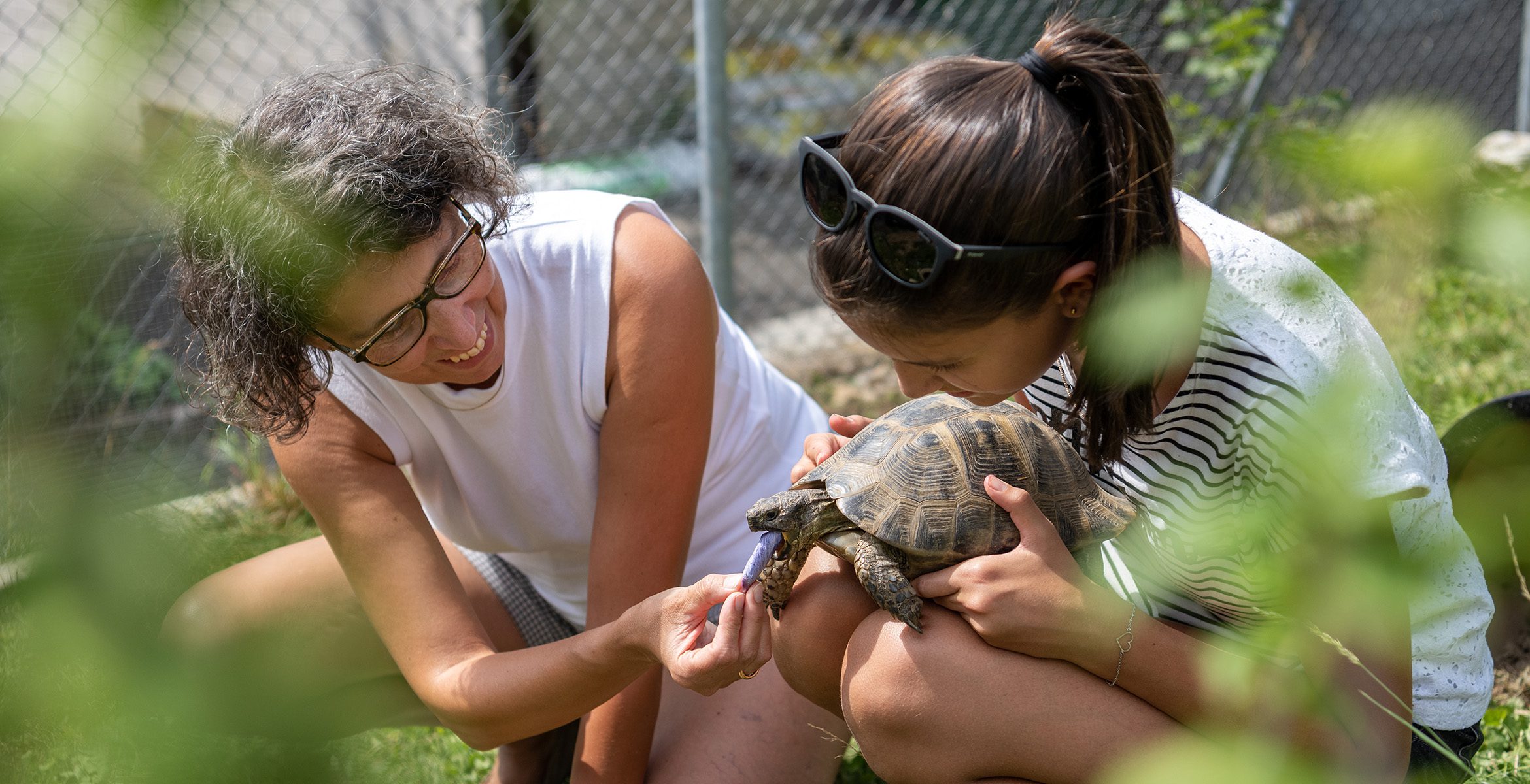 Kinder- und Jugendhaus Paradies: Schildkröte füttern