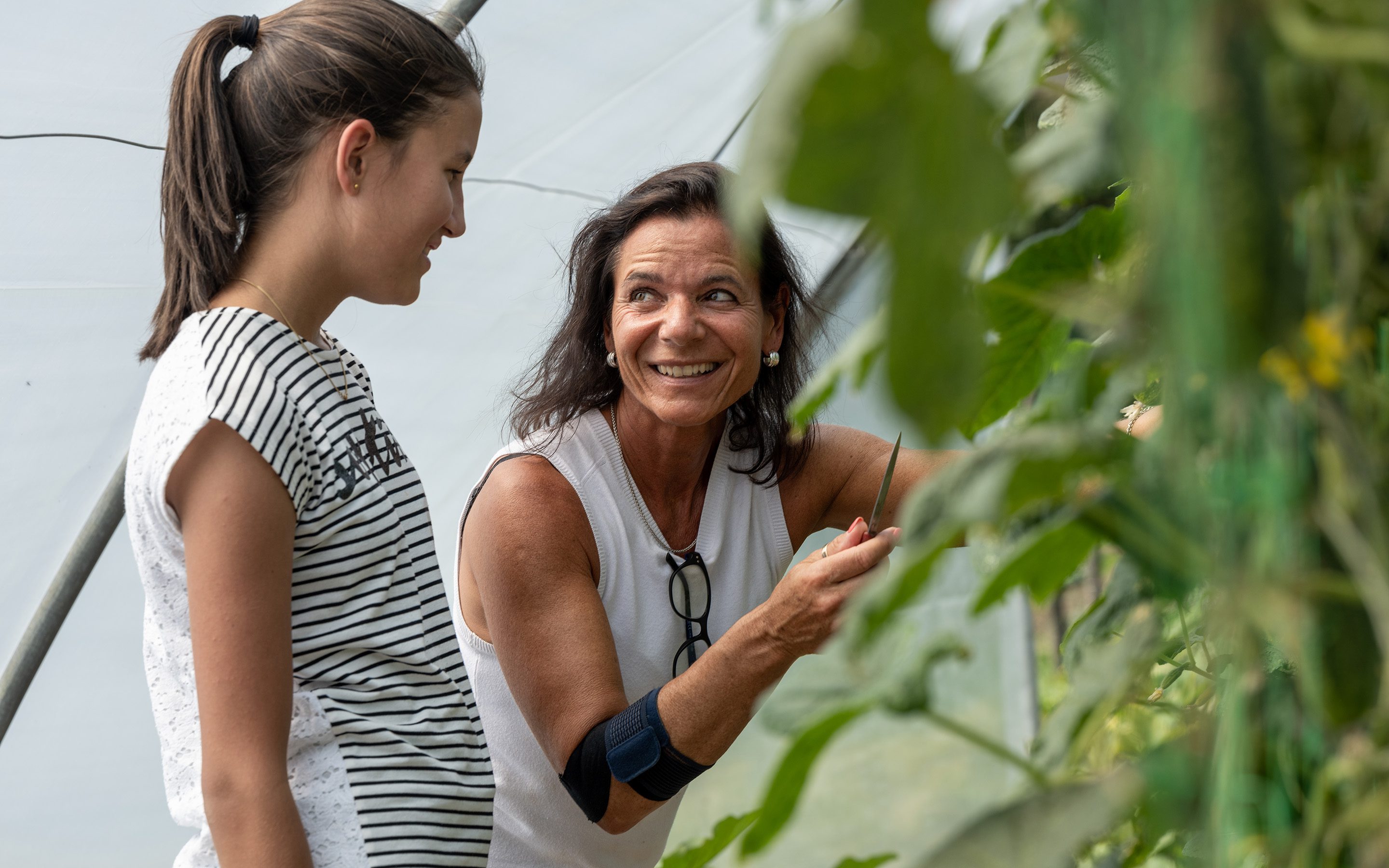 Kinder- und Jugendhaus Paradies: Arbeit an Tomaten im Gewächshaus