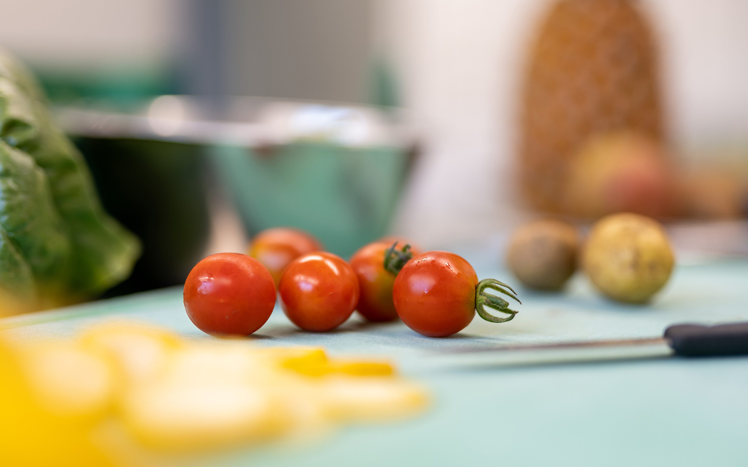 Kinder- und Jugendhaus Paradies: Tomaten aus dem hauseigenen Garten