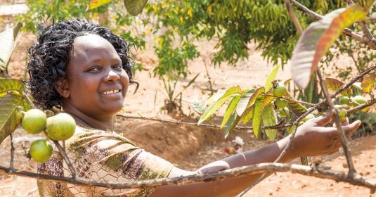 Eine Frau neben einem Guavenbaum. Heilsarmee Entwicklungszusammenarbeit