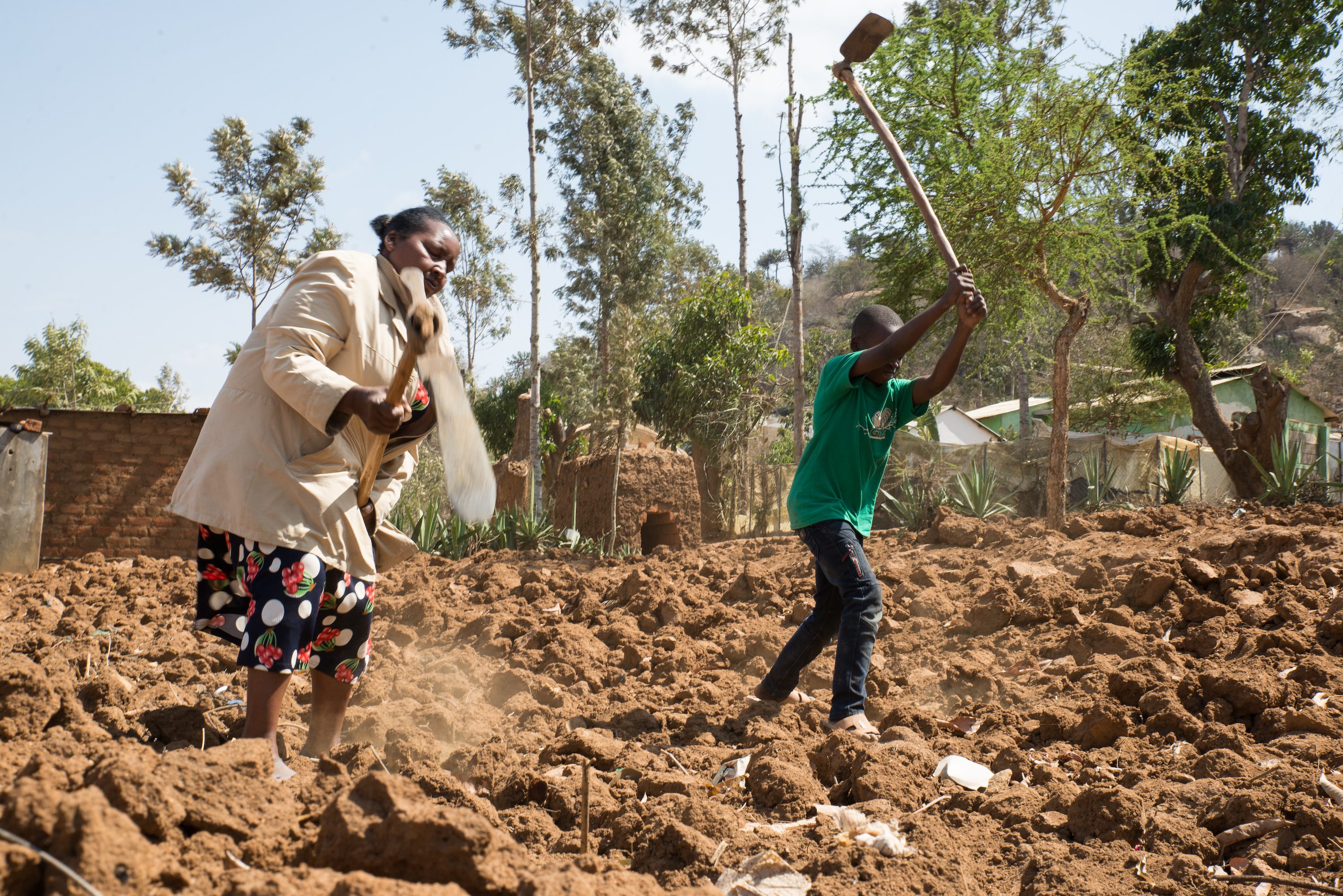 Tilling the Shamba with her child.