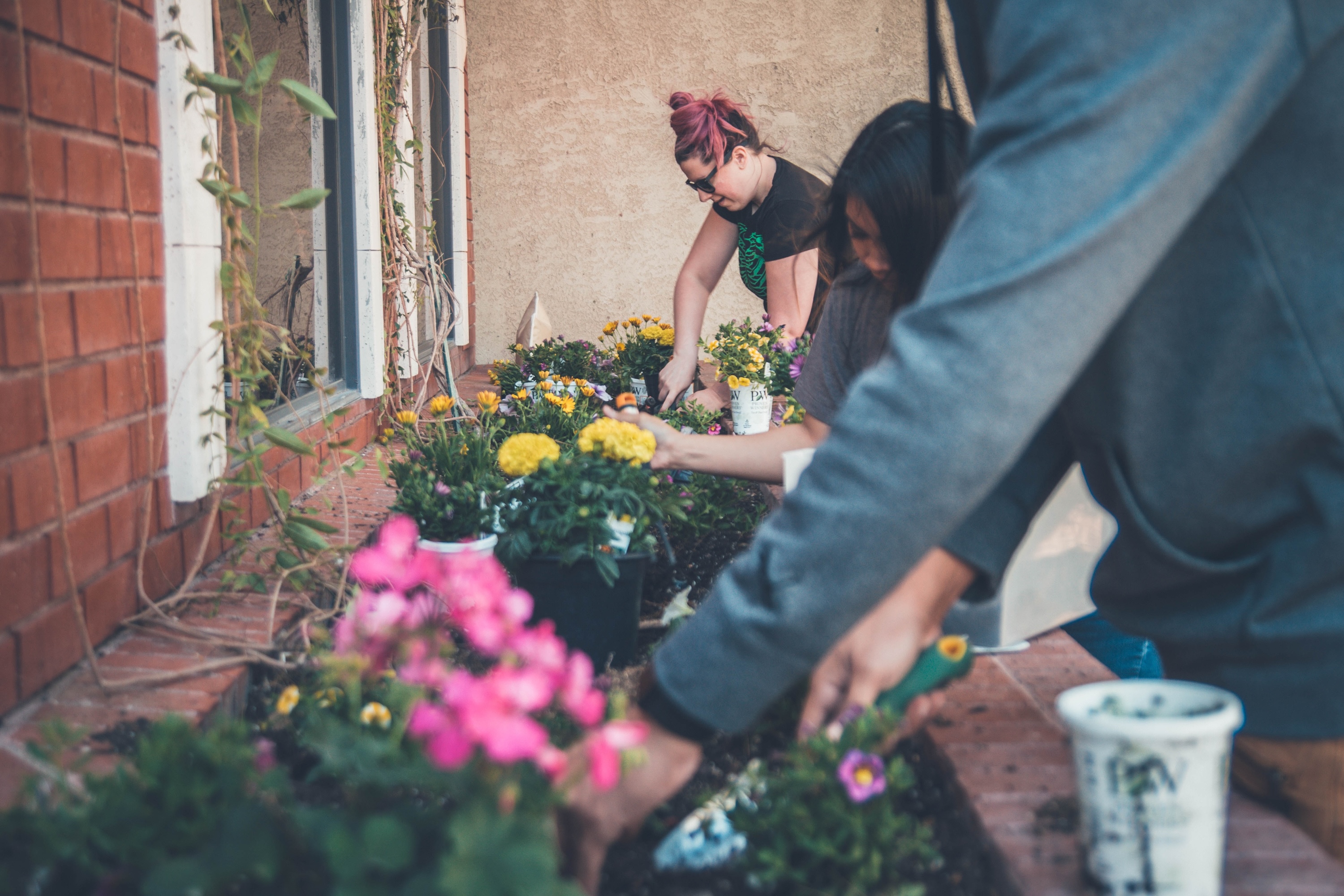 unsplash Gartenarbeit