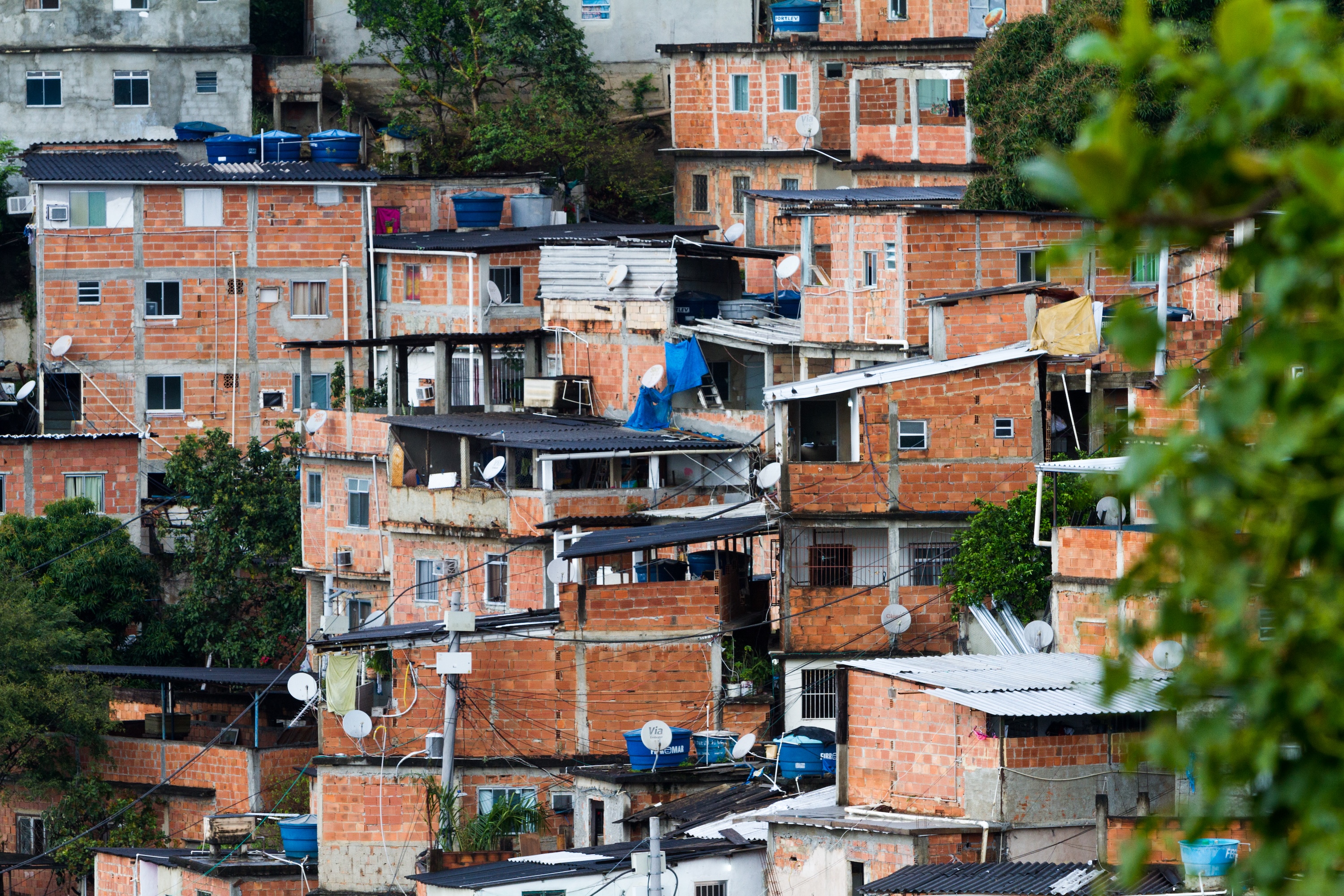 Zum Mitfreuen – Imbodens in Brasilien.
