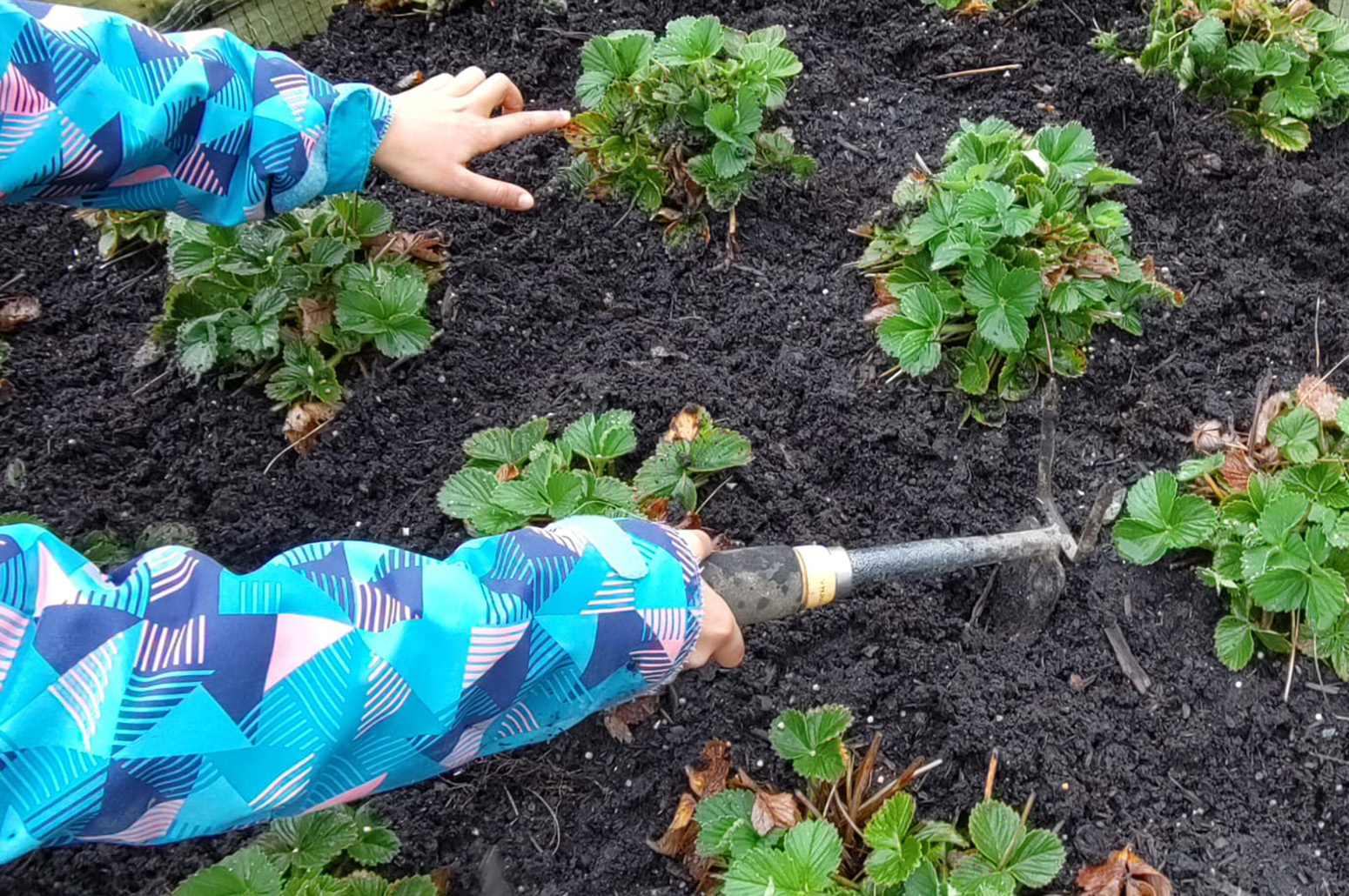 Kinder- und Jugendhaus Paradies, Gartenarbeit (2025).