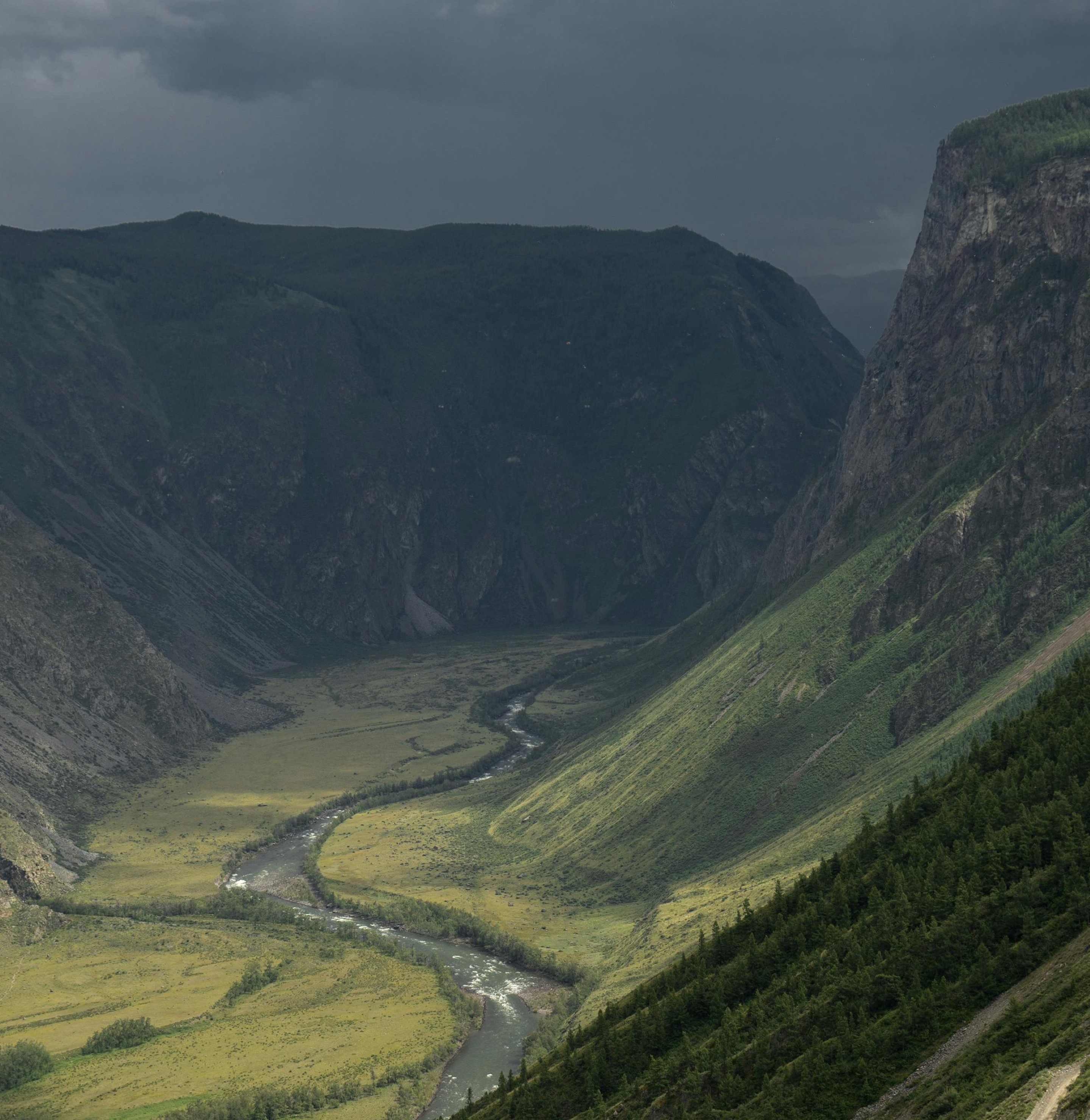 pexels-anastasia-rezvanova-79376345-8701920_gross