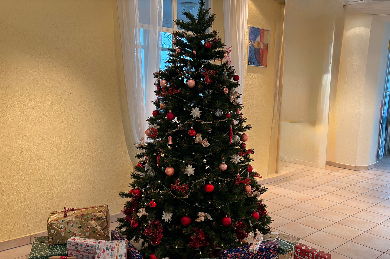 Weihnachtsbaum_Kinder- und Jugendhaus Paradies_Heilsarmee Schweiz (2025).